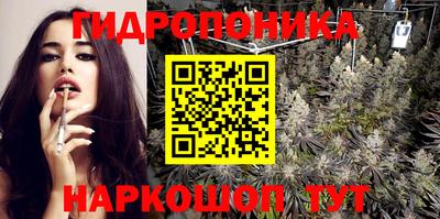 амф Гатчина