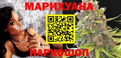 амф Гатчина