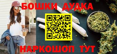 амф Гатчина