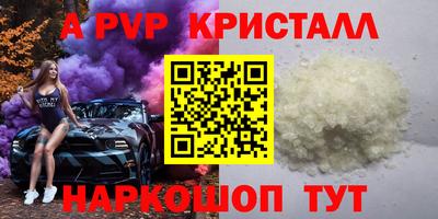 эйфоретик Гай