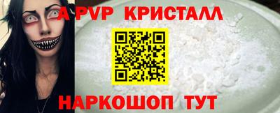 эйфоретик Гай