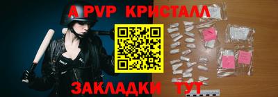 амф Гатчина