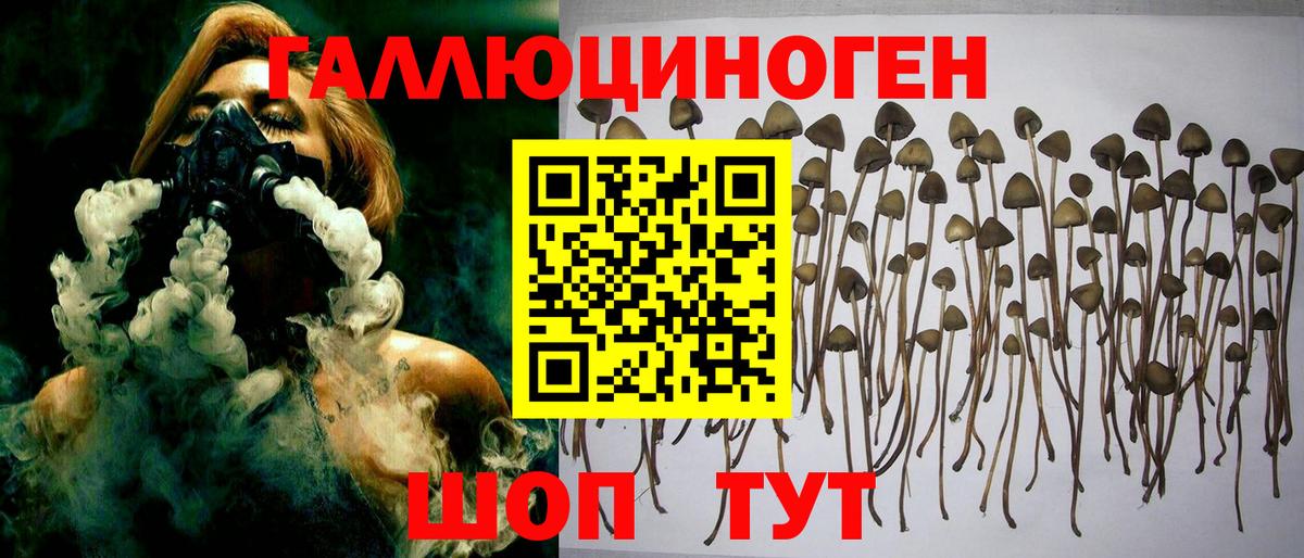 Галлюциногенные грибы ЛСД  Галлюциногенные грибы Psilocybine cubensis  Вход с VPN  Стрежевой 