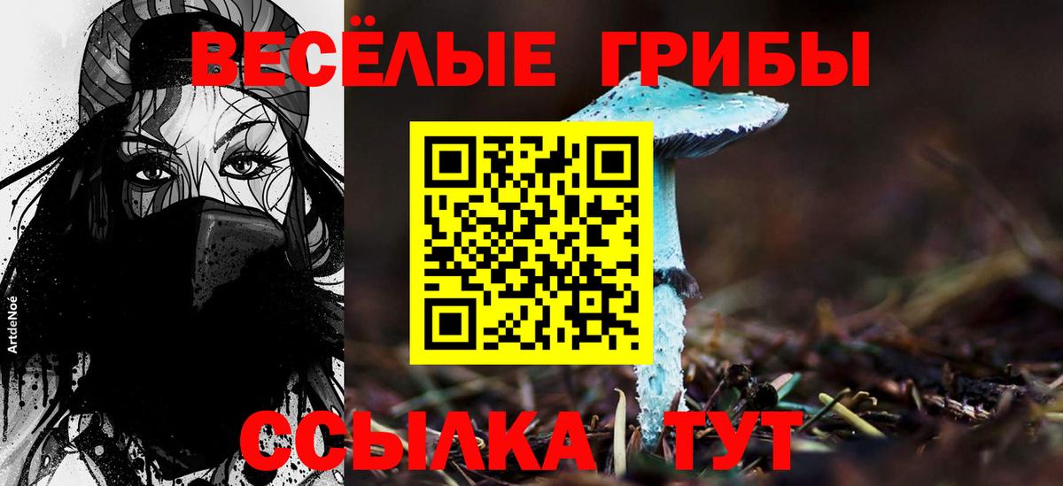 Псилоцибиновые грибы Cubensis Стрежевой