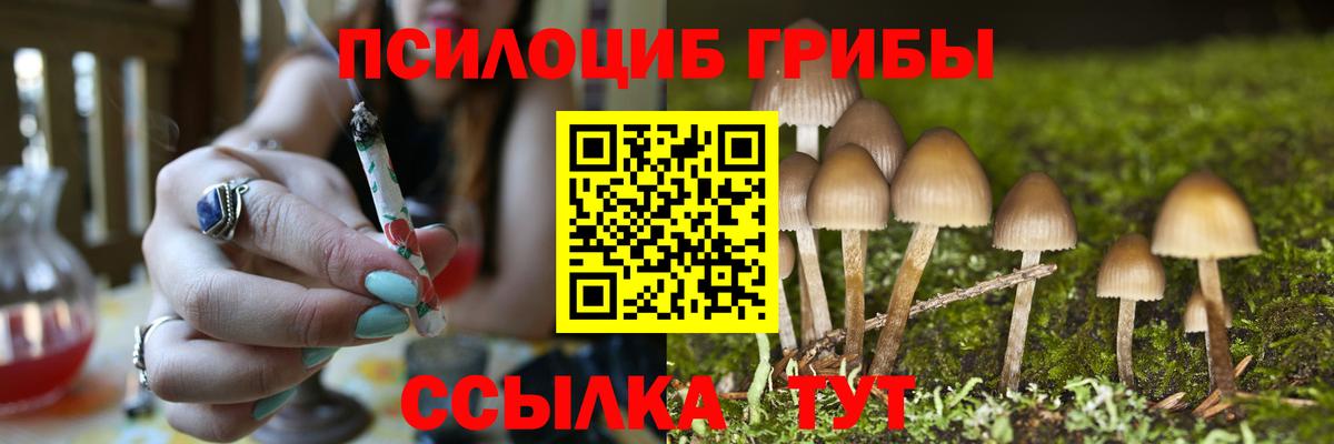 Галлюциногенные грибы Magic Shrooms Стрежевой